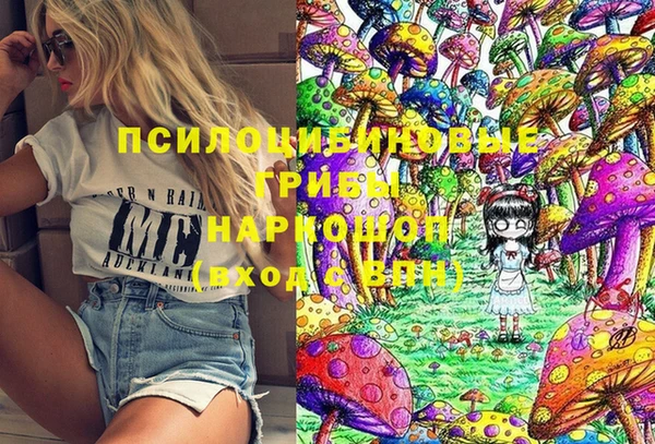 Альфа ПВП Краснослободск