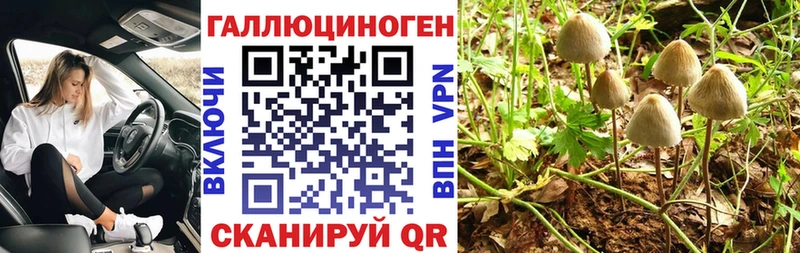 Псилоцибиновые грибы GOLDEN TEACHER Купить Оренбург